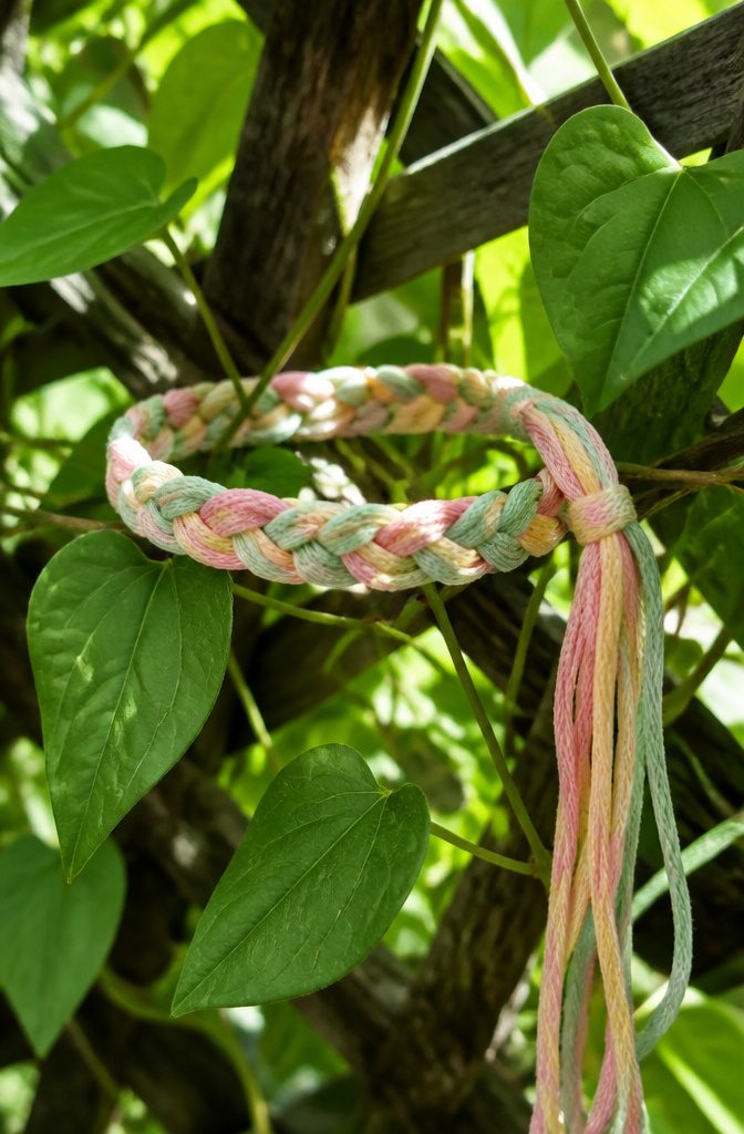 Braided bracelet patterns: 12 friendship bracelet designs to try 4 Three Strand Braid bracelet displayed among green vines.