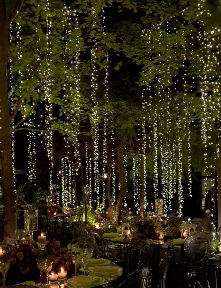 Outdoor dinner tables under trees with cascading fairy lights creating a magical atmosphere